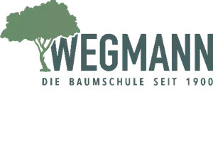 Wegmann-Handels GmbH & Co. KG